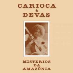 Misterios da amazonia feat devas carioca (Vinile)