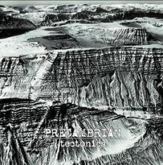 Tectonics (Vinile)