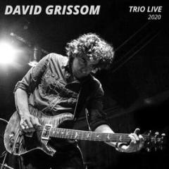 Trio live 2020