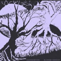 Bloom, decay (Vinile)