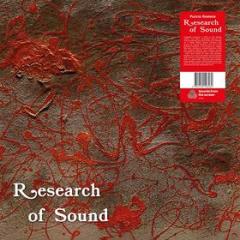 Research of sound (Vinile)