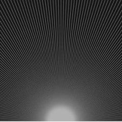 Vanishing (Vinile)