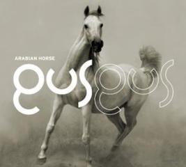 Arabian horse: special edition