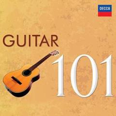 101 guitar