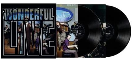 The wonderful live 20th anniversary (Vinile)