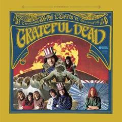 The grateful dead (Vinile)