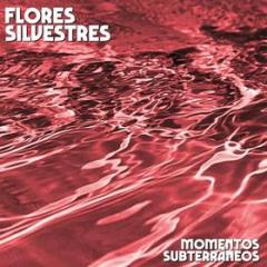 Momentos subterraneos (Vinile)