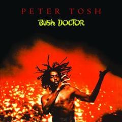 Bush doctor (Vinile)