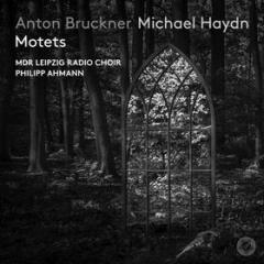 Anton bruckner & michael haydn: motets
