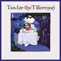 Tea for the tillerman 2 (Vinile)