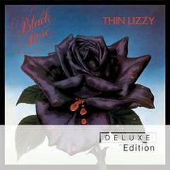 Black rose (deluxe)