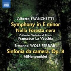 Symphony in e minor nella foresta nera