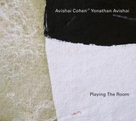 Playing the room (Vinile)