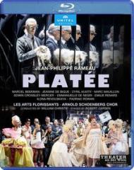 Rameau platee