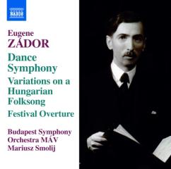 Dance symphony (sinfonia n.3), variation