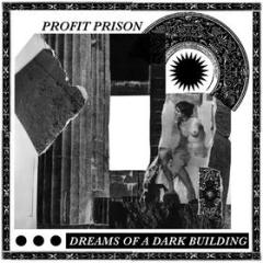 Dreams of a dark building (Vinile)