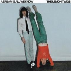 A dream is all we know (ice cream vinyl) (Vinile)