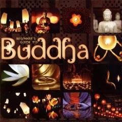 Beginners guide to buddha
