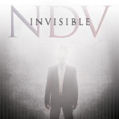 Invisible nick d'virgilio cd