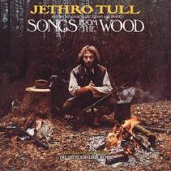 Songs from the wood (Vinile)