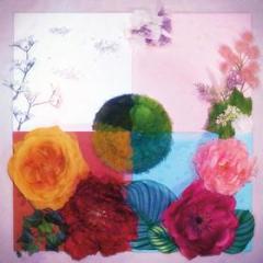P.o.c (proof of concept) (pink & maroon) (Vinile)