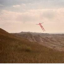 Skinless takes a flight - red vinyl (Vinile)