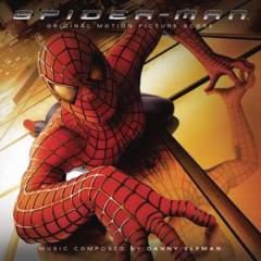 Spider-man (Vinile)