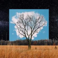 Bloom (Vinile)