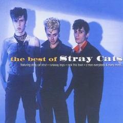 Best of the stray cats