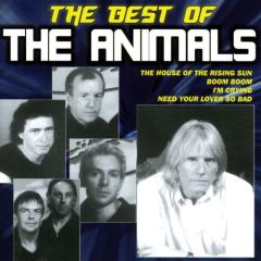 The best of the animals