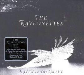 Raven in the grave