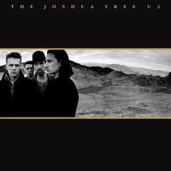The joshua tree -30th anniversary (Vinile)