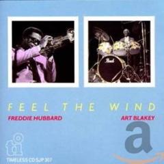 Feel the wind (Vinile)