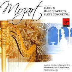 Concerti per flauto 1 & 2