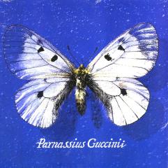 Parnassius guccinii (Vinile)