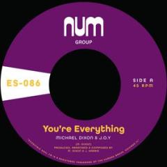 You re everything/you re all i need (Vinile)