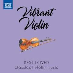 Vibrant violin - la musica classica per violino piu amata