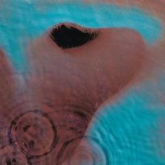 Meddle