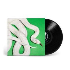 Private music Vinile nero