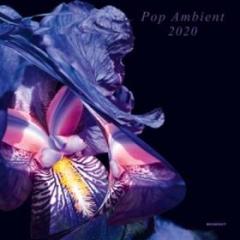 Pop ambient 2020 various artists cd