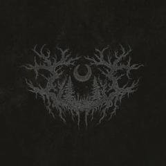 I feel the everblack festering within me (Vinile) I feel the everblack festering within me (Vinile)