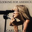 Looking for america