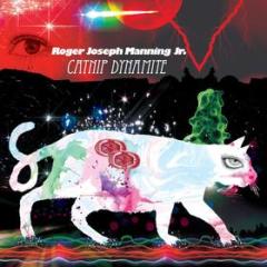Catnip dynamite