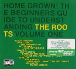 Home grown! the beginner's guide to understanding the roots, volume 1