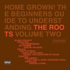 Home grown! the beginner's guide to understanding the roots, volume 2