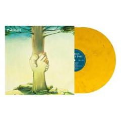 Ma noi no! 2 vinili gialli marmorizzati (Vinile)