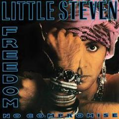 Freedom no compromise (Vinile)