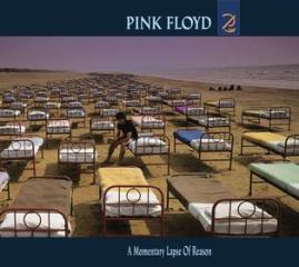 A momentary lapse of reason