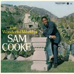 The wonderful world of sam cooke (Vinile)