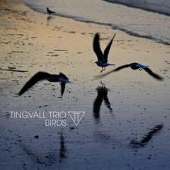 Birds (lp) (Vinile)